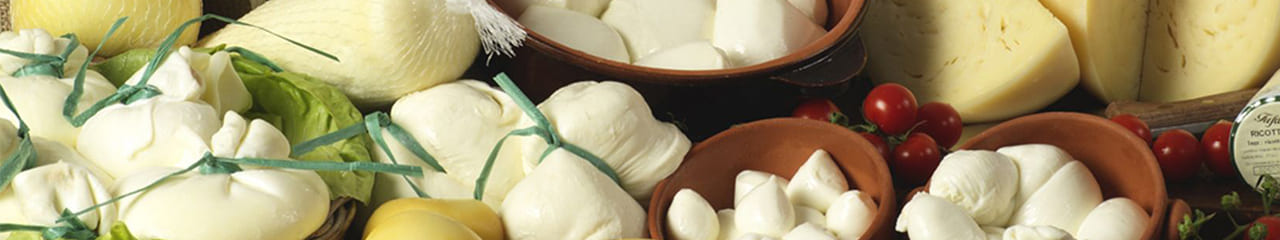 FORMAGGI E LATTICCINI - Presto Chef